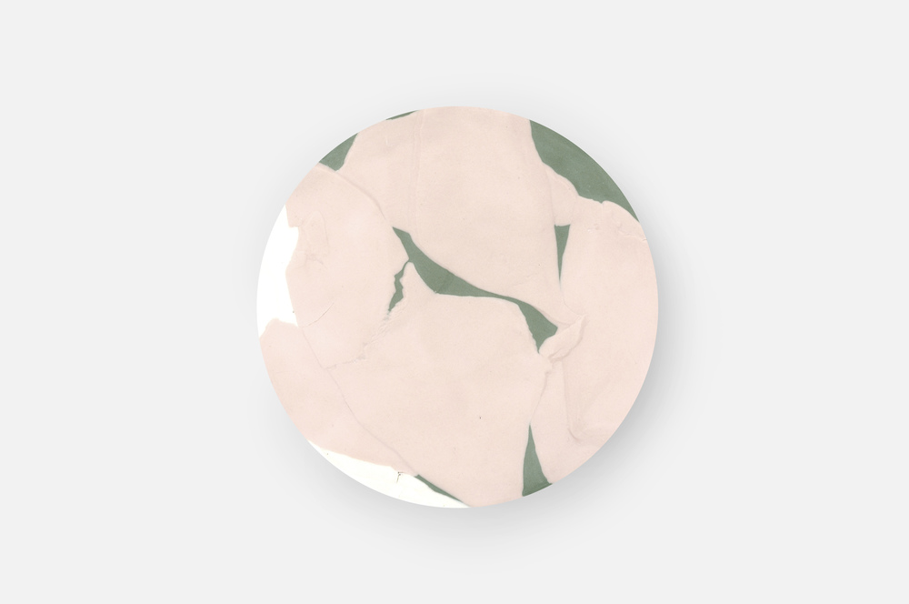 pink plate.jpg